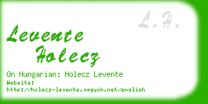 levente holecz business card